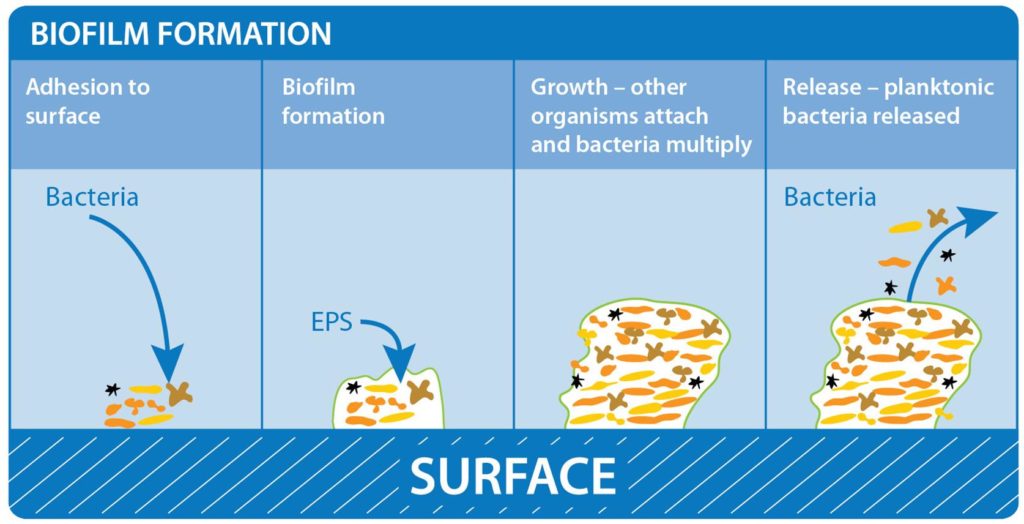 biofilms-whiteley